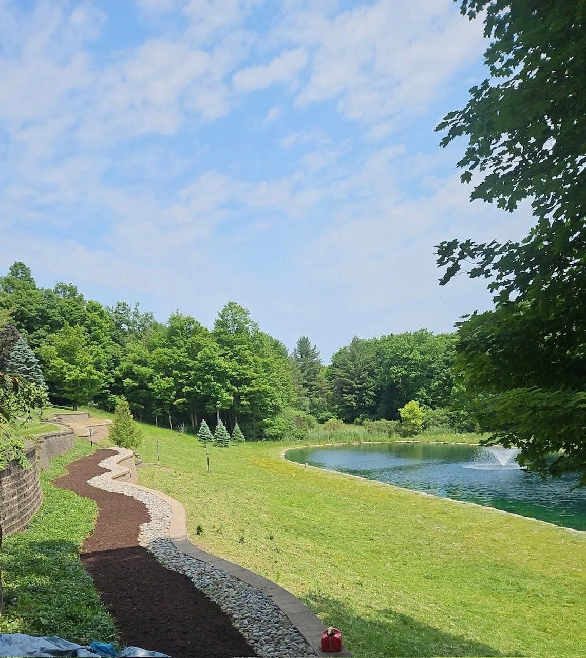 Sunny park landscape with a winding path, green trees, and a calm pond under a blue sky