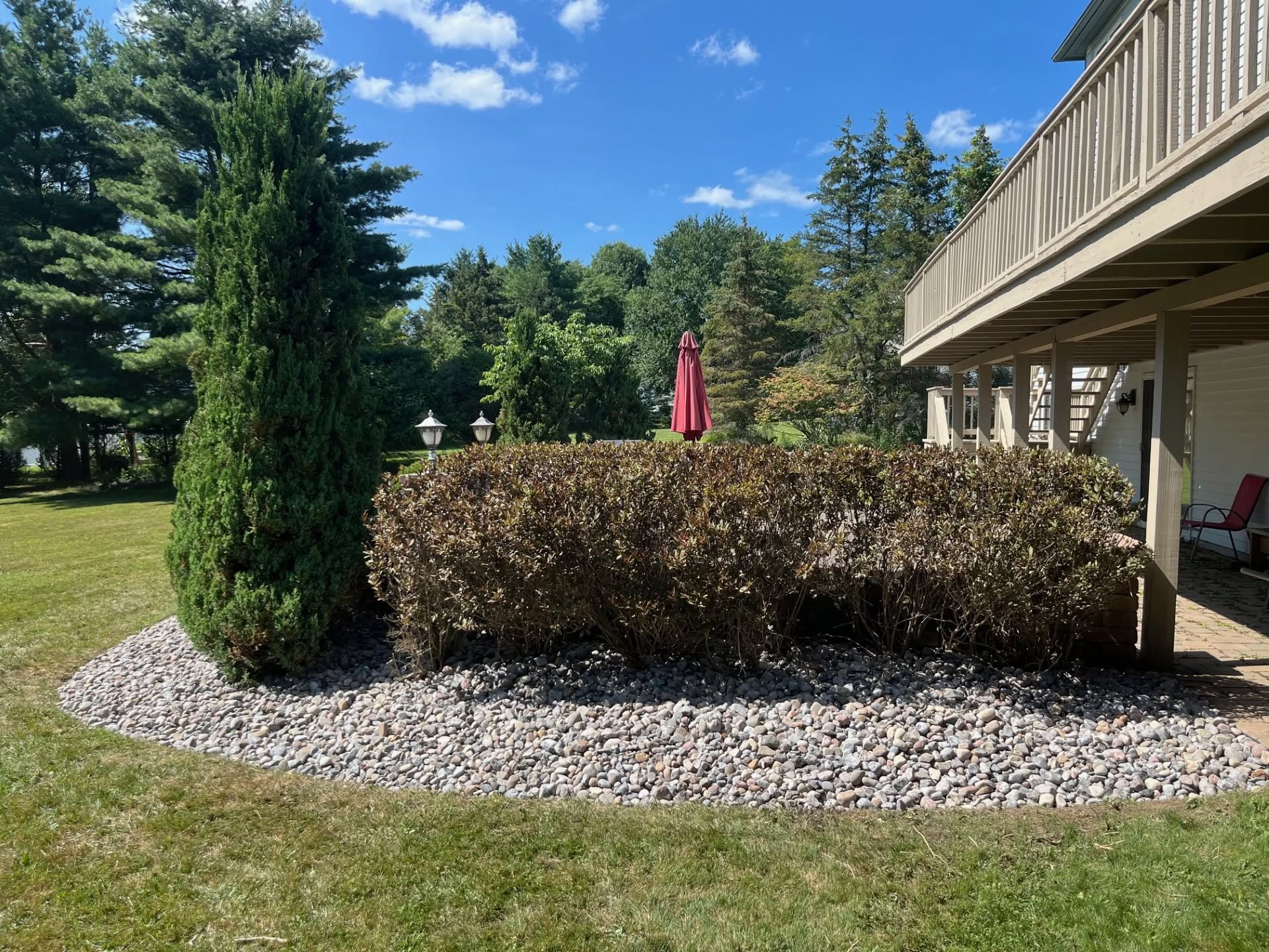 Landscaped yard with shrubs, a tree, stone border, and a red patio umbrella beside a house
