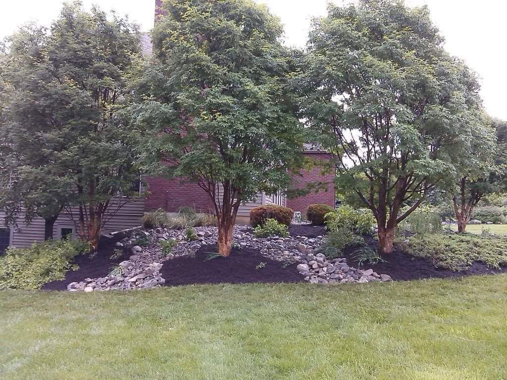 Landscaped front yard with three trees, dark mulch, white stones, and a brick house in the background