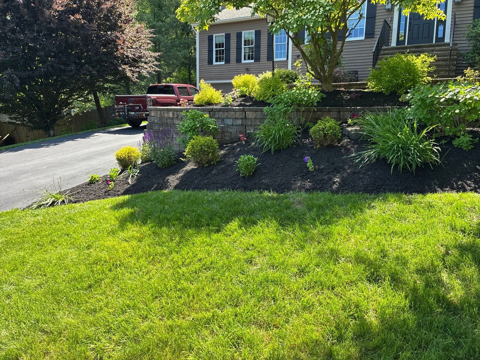 Sunlit suburban front yard with green lawn, landscaped shrubs, and stone house steps, with a driveway on the left