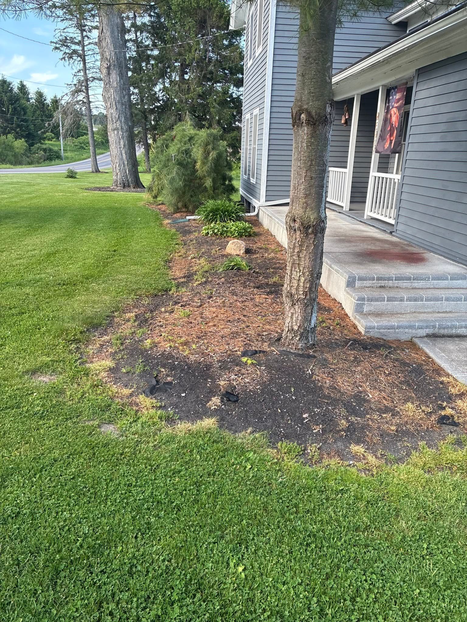 Front yard garden bed with mulch around a palm tree beside a house and green lawn