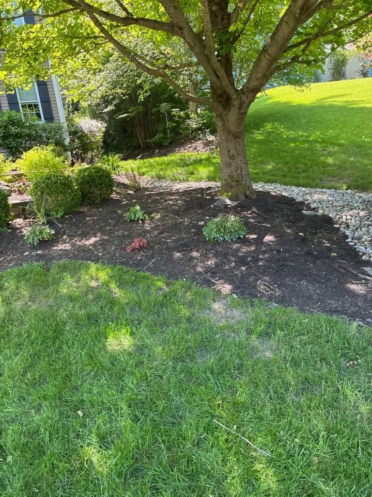 Front yard with green lawn, mulch bed, and a tree beside a house