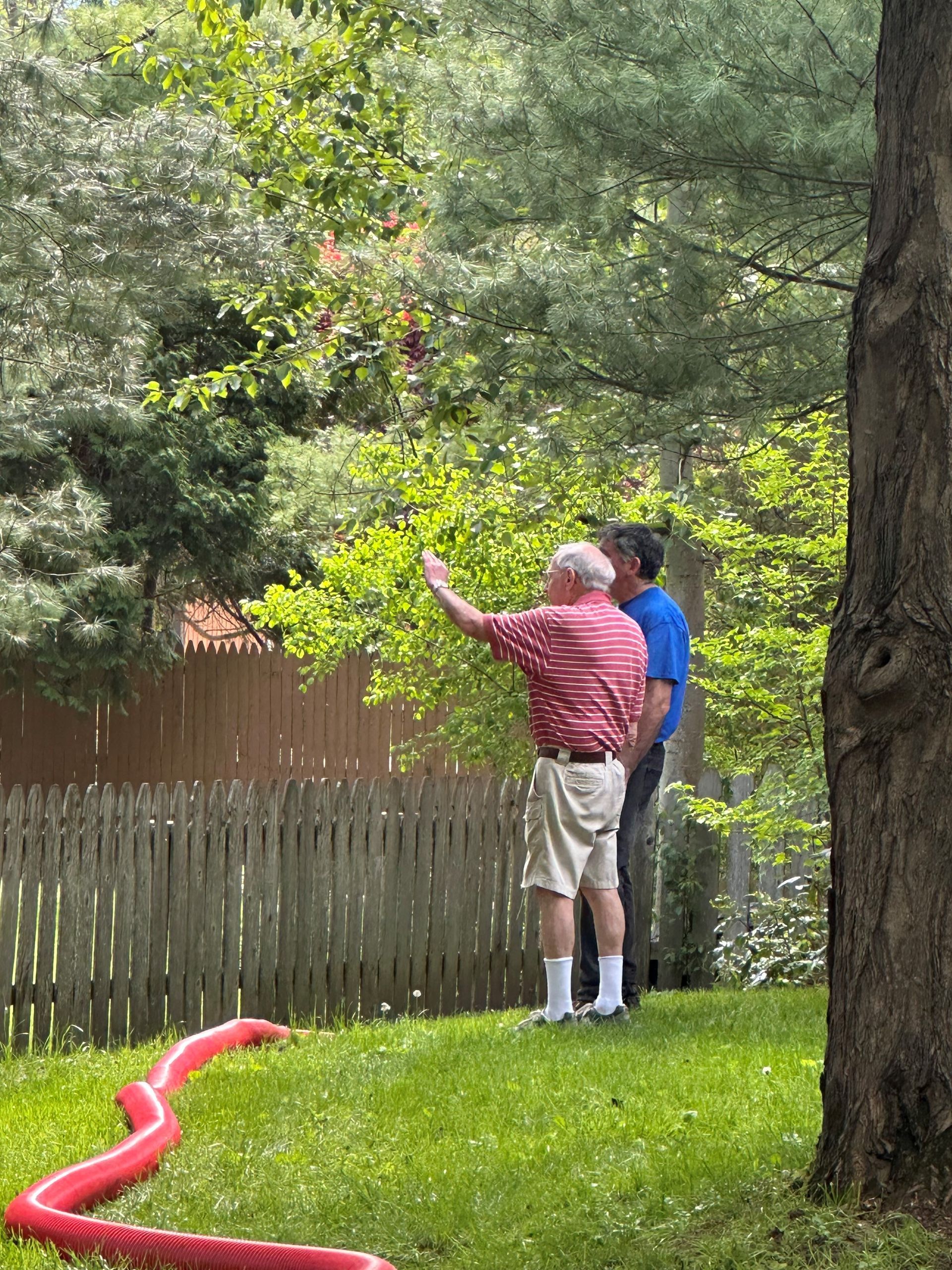Two men in a yard, one pointing at a tree. Red hose snakes across the grass.