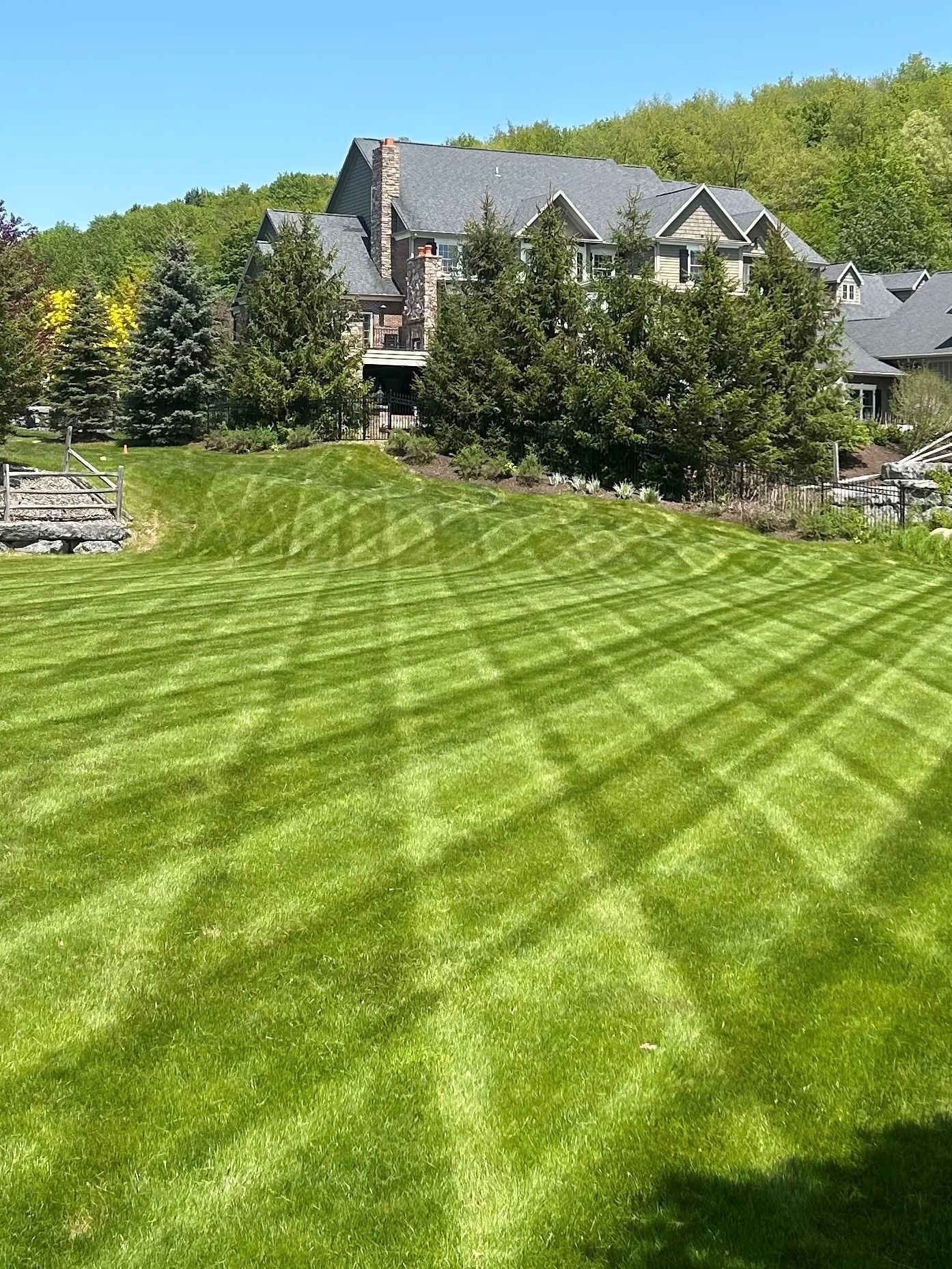 Lawn with a diamond pattern in front of a large house nestled amongst trees under a clear blue sky.