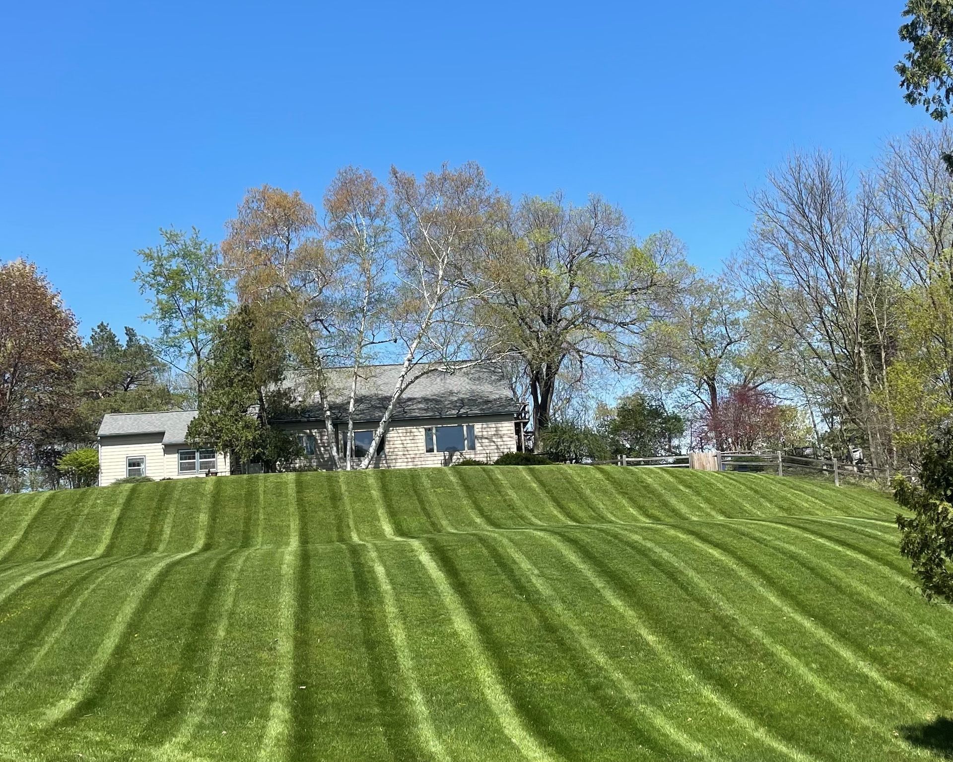 Lawn with wavy stripes, house with trees in the background under a blue sky.