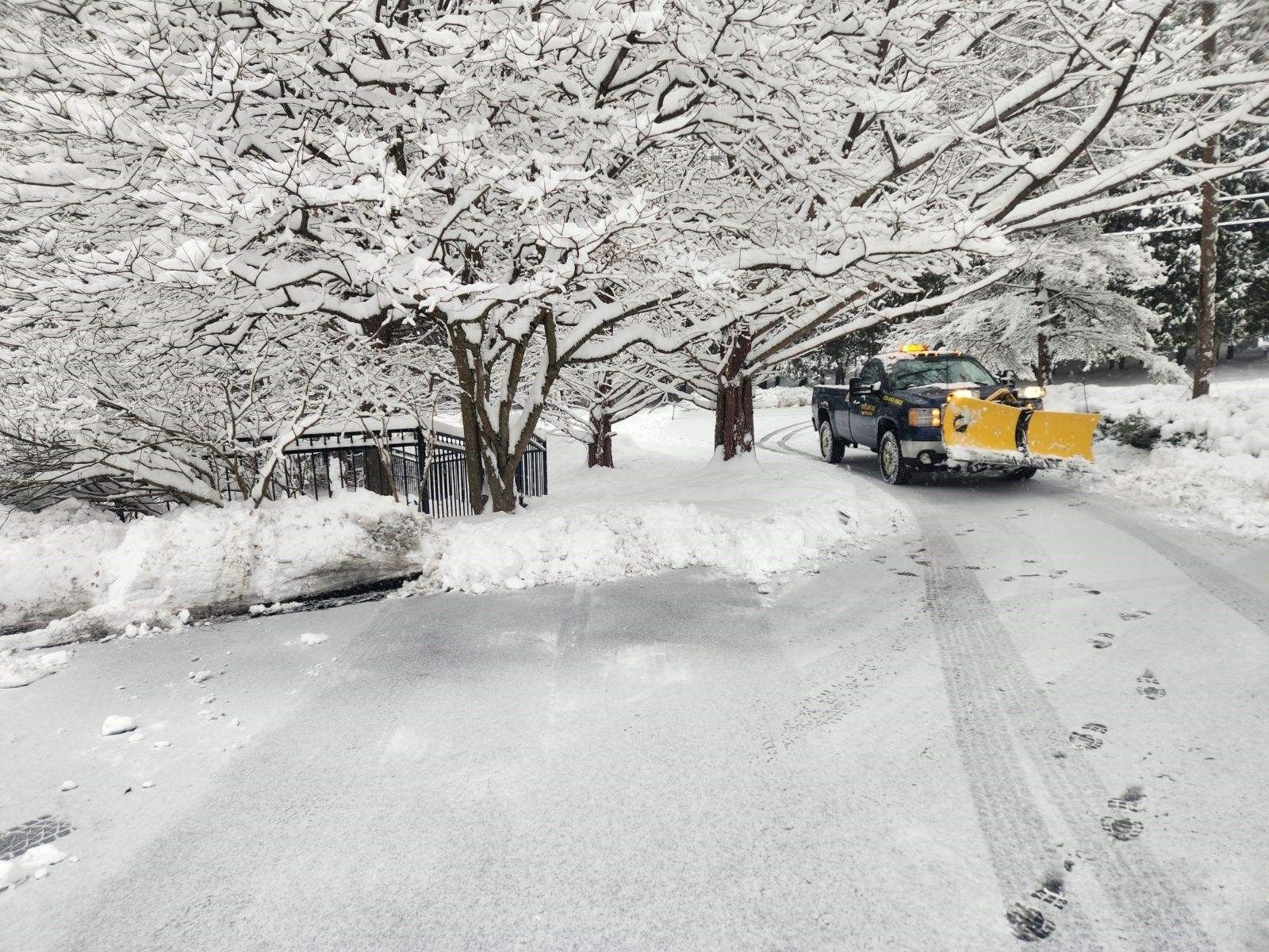 Snowplow clearing a snow-covered road under snow-laden trees. The truck is yellow and dark blue.