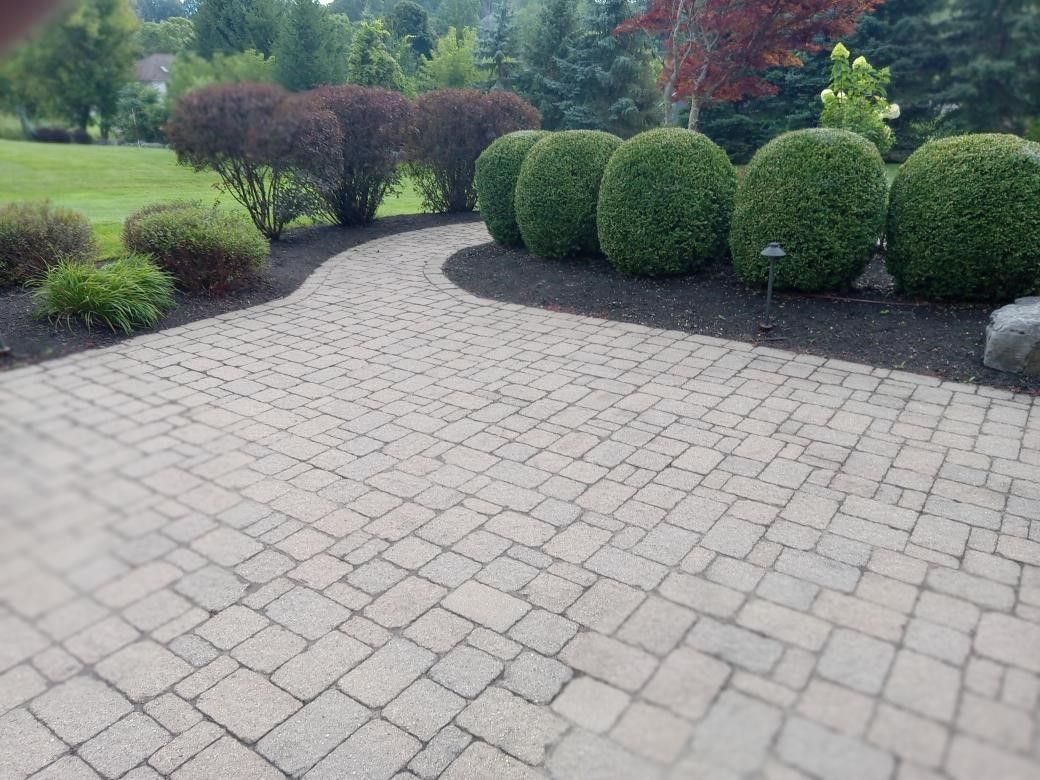Brick path curving through landscaped garden with green and red shrubs.