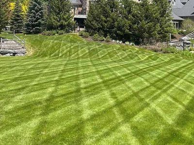 Lawn with a diamond pattern of freshly cut grass, in front of a house on a hillside.