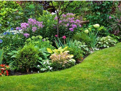 Lush garden bed with vibrant purple, green, and white flowers, bordering a green lawn.
