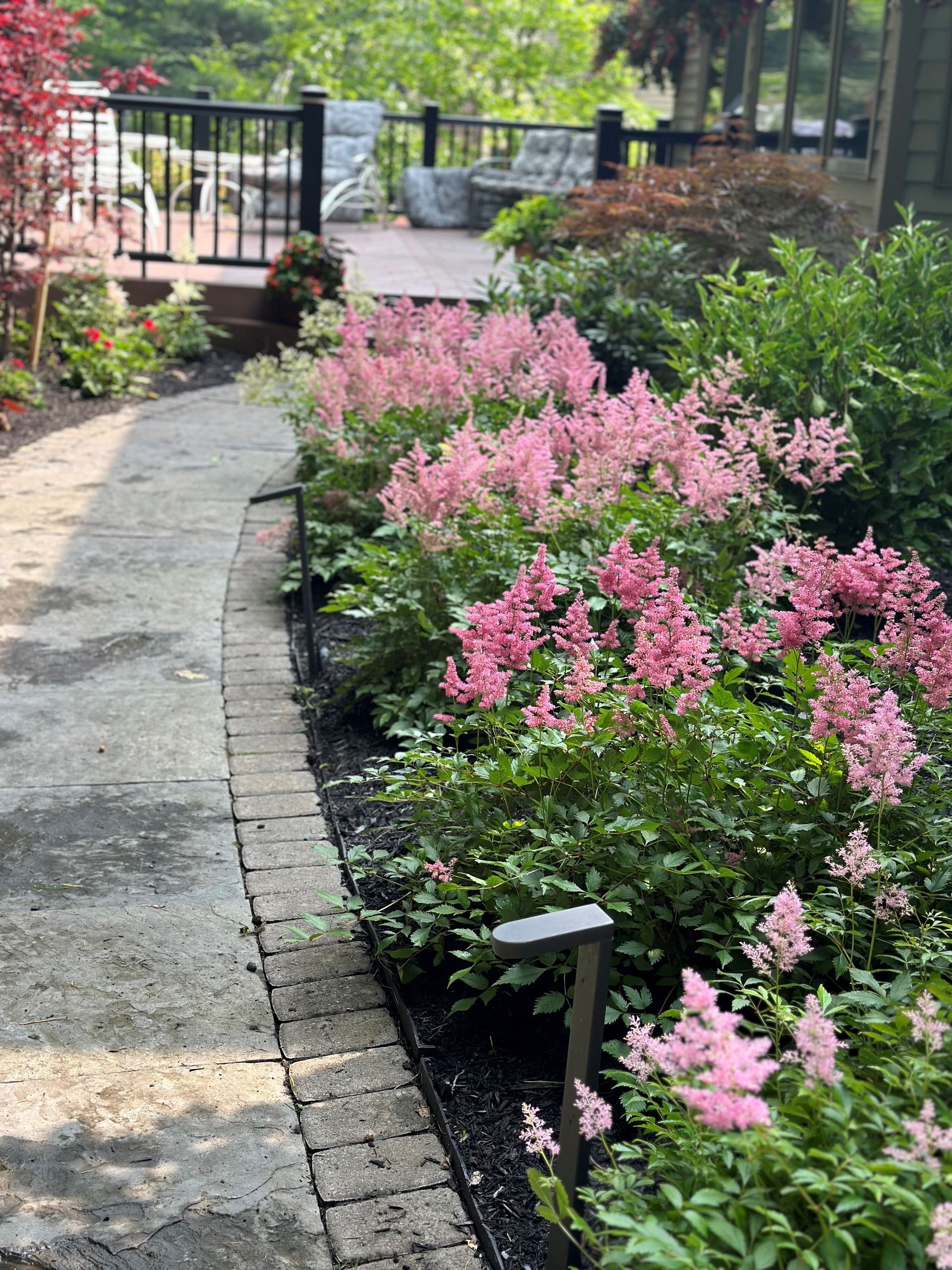 Pathway lined with pink flowering plants, leading to a deck. Green foliage and trees in the background.