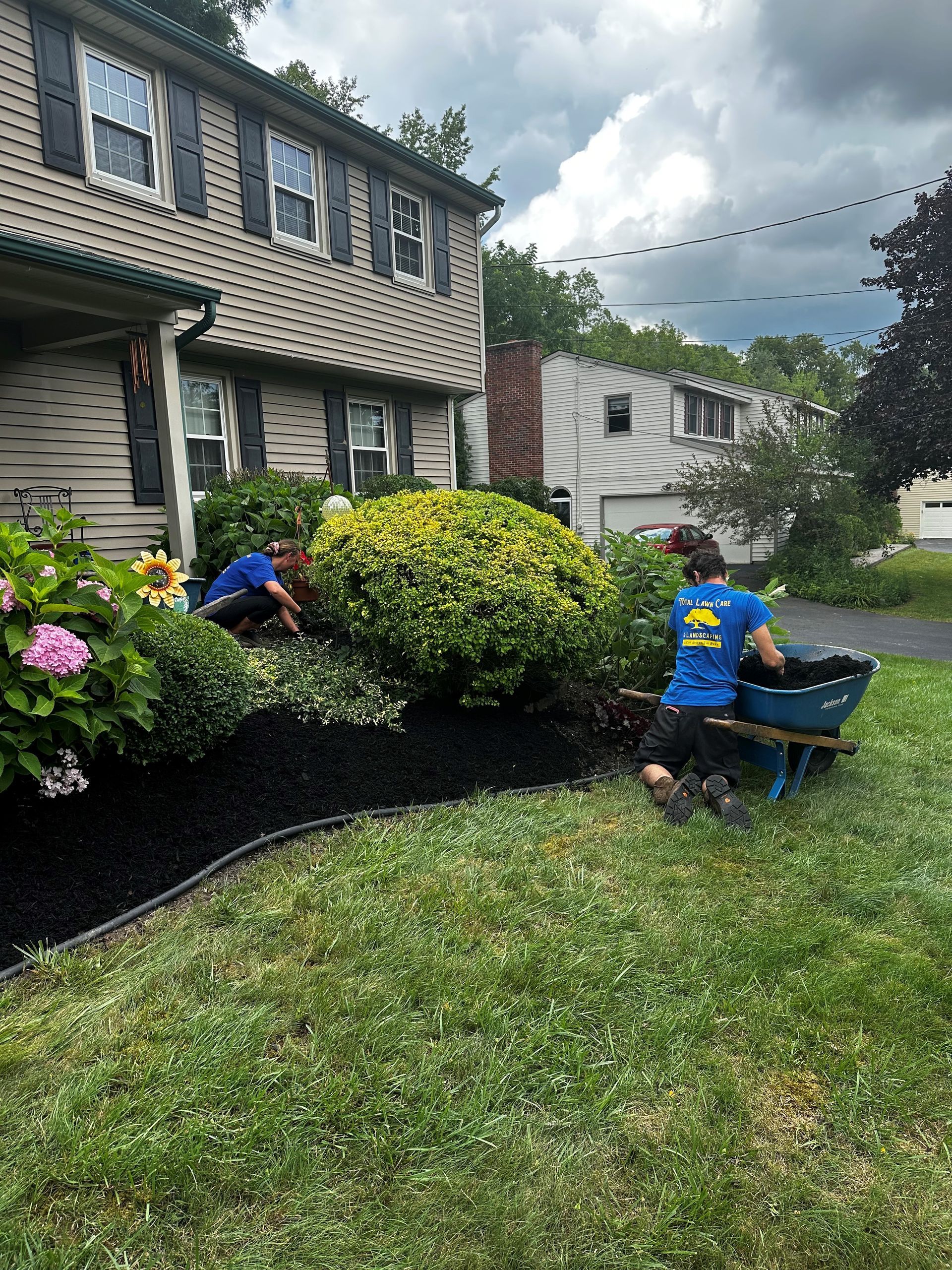 Two people landscaping a front yard, applying mulch. House in the background. Green grass and black mulch.