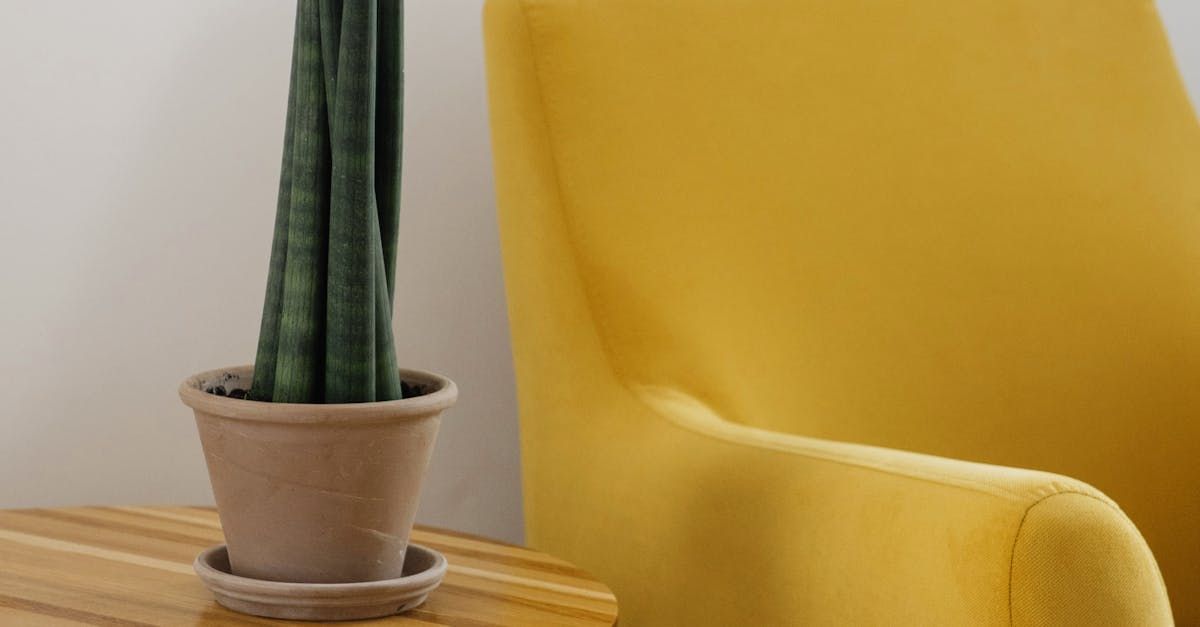 Unique furniture and home decor pieces in the DFW Metro Area.