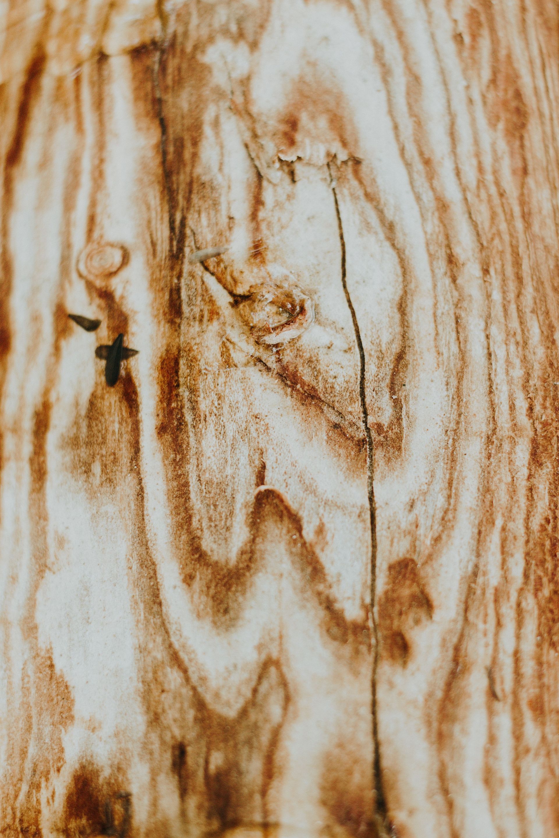 Abstract tan and brown wood grain pattern with knots and streaks