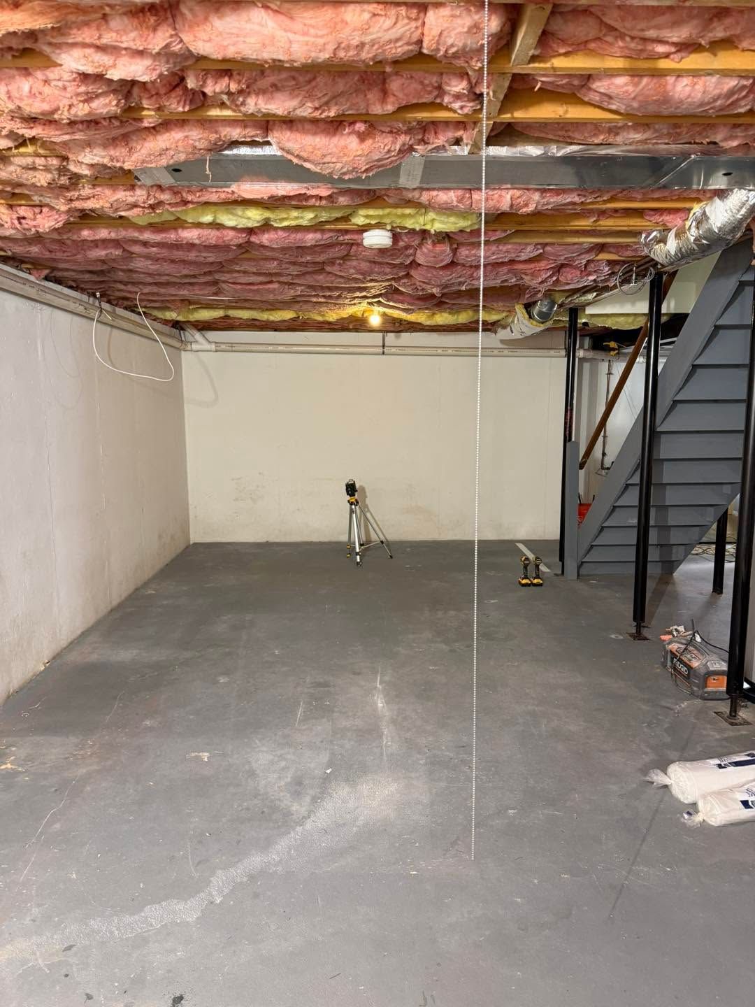 Unfinished basement with exposed insulation, concrete floor, staircase, and two small dogs near the back wall