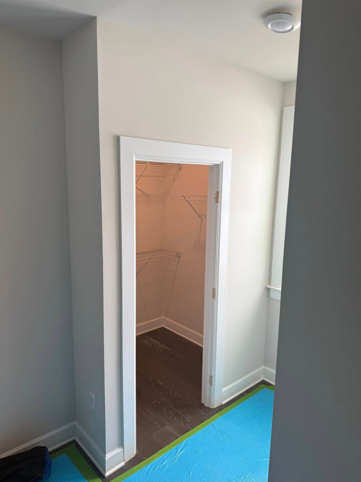 Hallway with open white-trimmed doorway to a small closet, gray walls, and blue carpet with green tape edge
