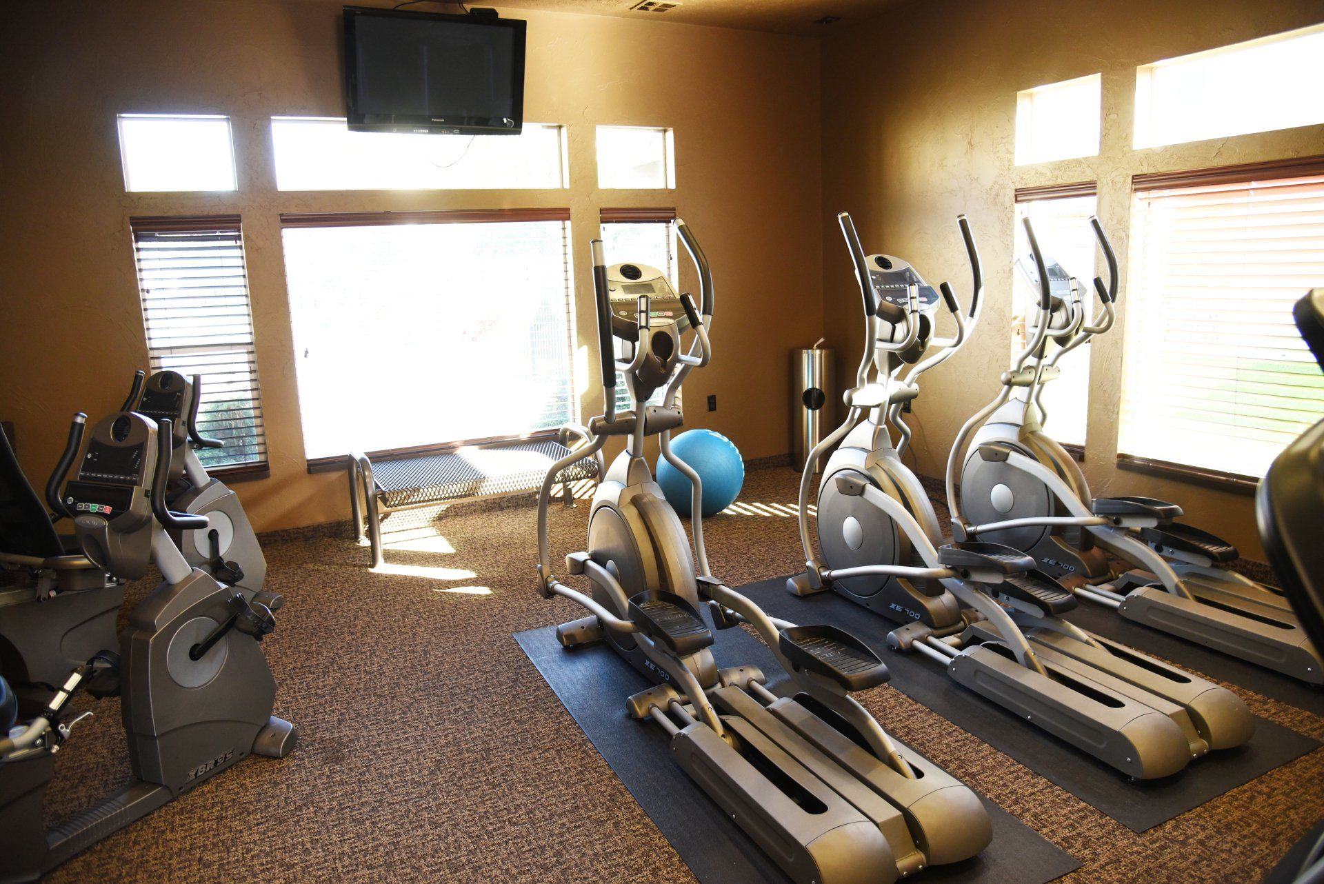 Lusitano Apartment gym