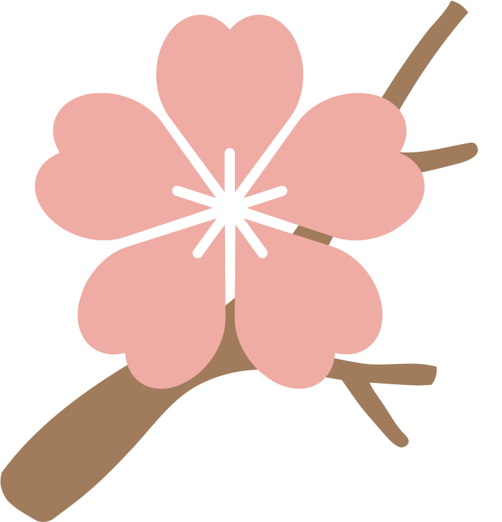 Pink cherry blossom on a brown branch