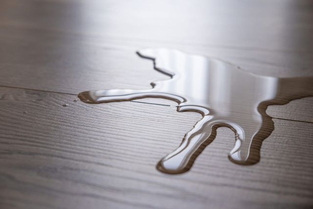 Waterproof Flooring