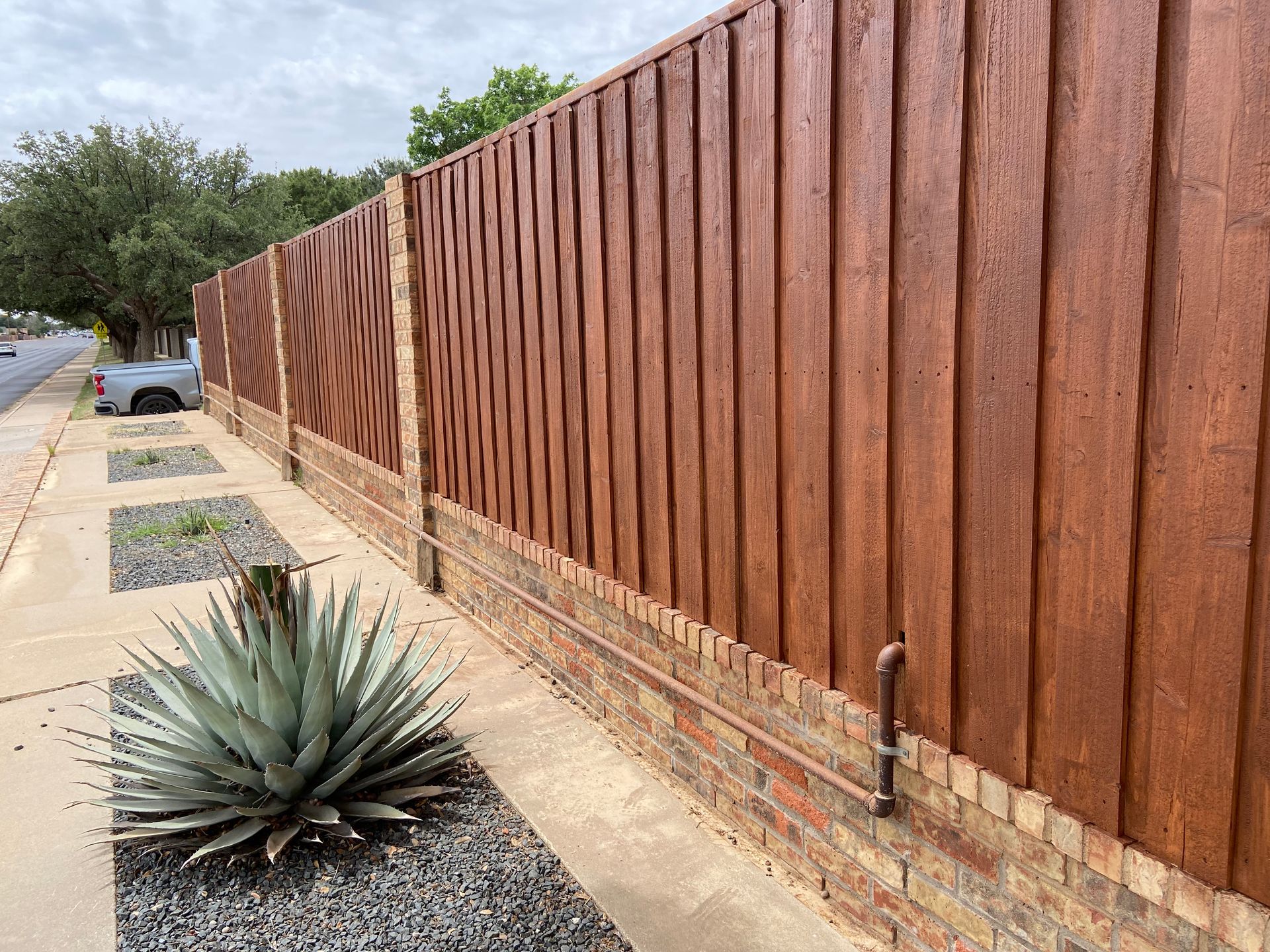 Wooden fence with brick base alongside a sidewalk and a large agave plant.
