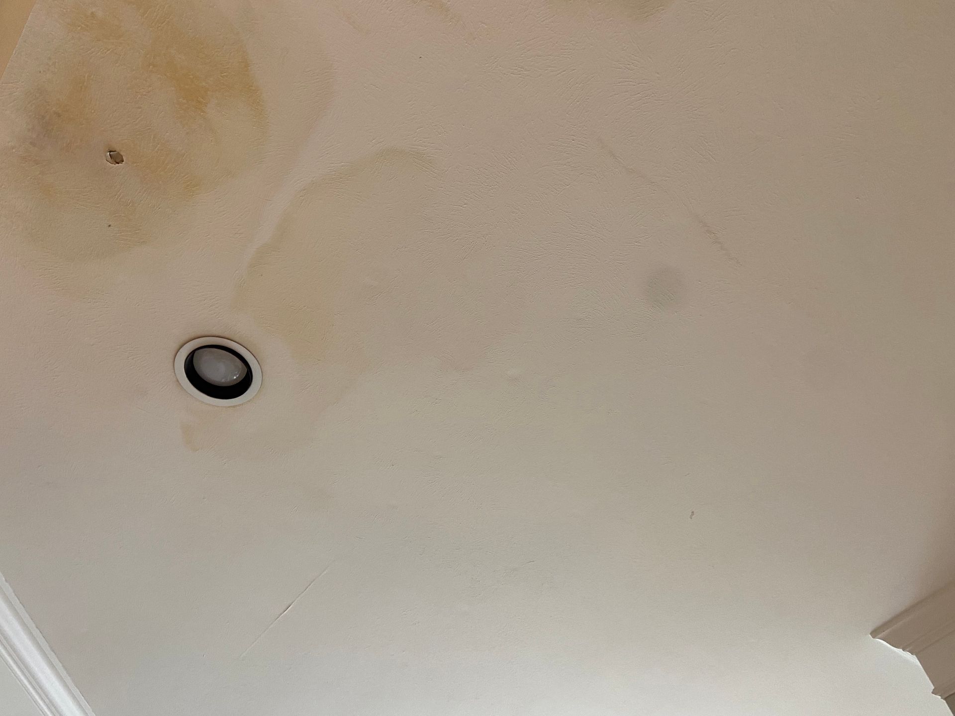 White ceiling with water stains around a recessed light fixture.