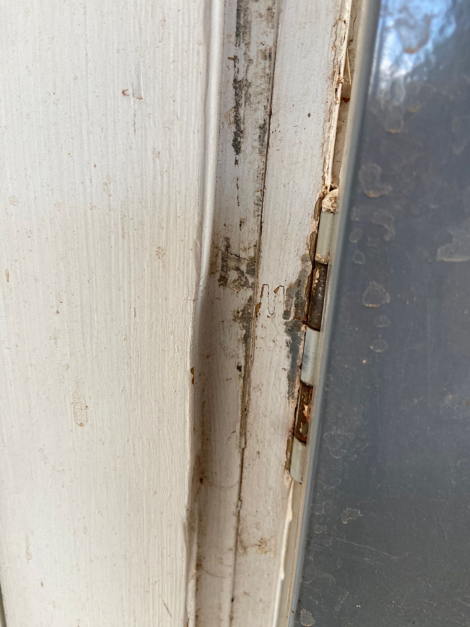 Close-up of a white door frame with rust and damage where it meets glass.