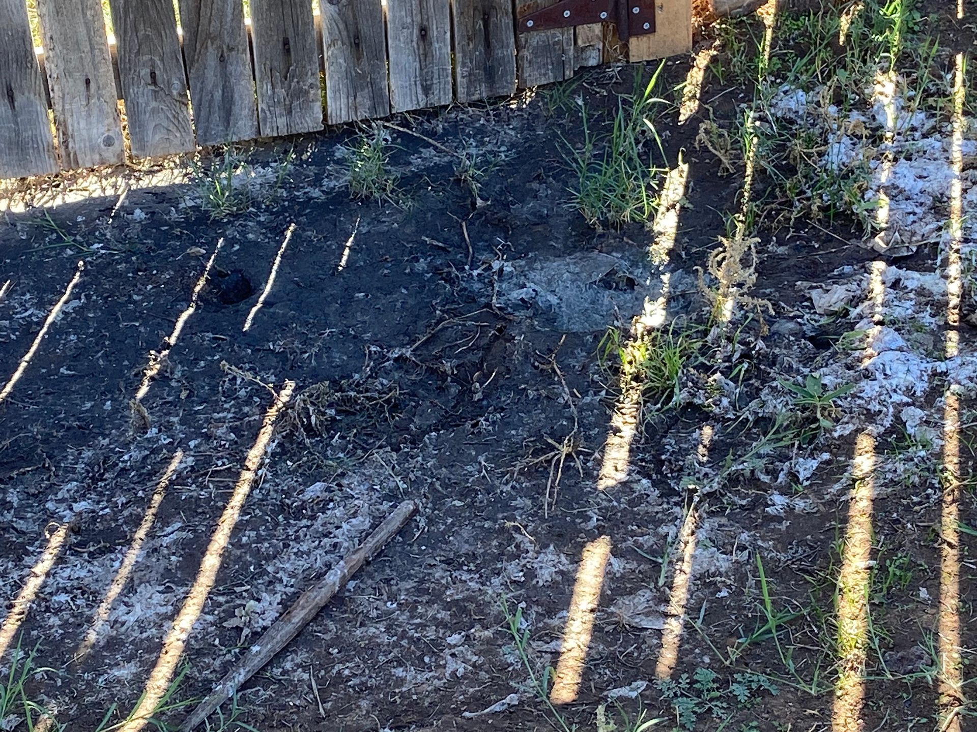 Dirt patch with sparse grass, melting snow, and shadow from a wooden fence.