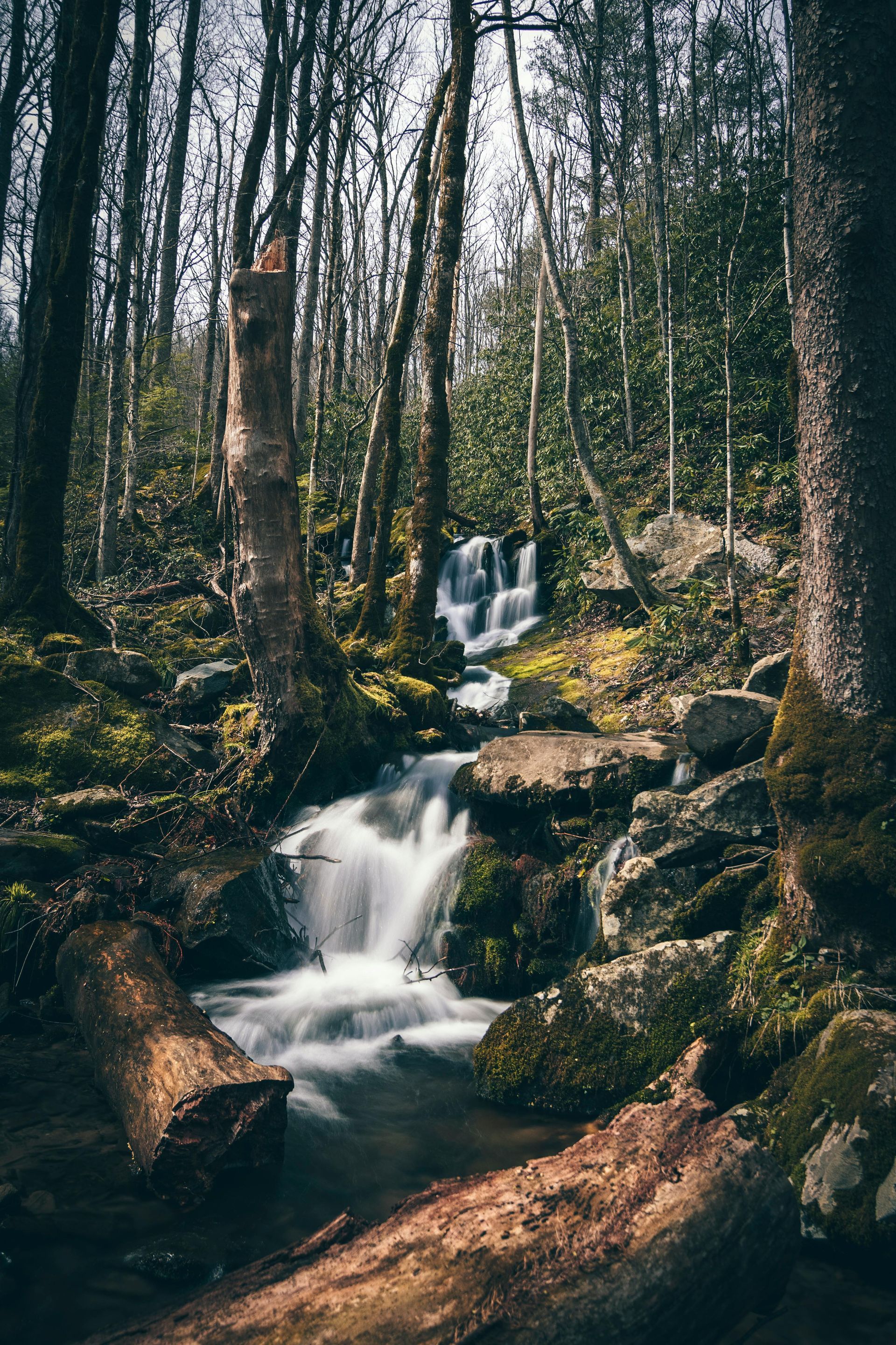 A forest stream cascading over rocks; trees frame the blurred waterfall and flowing water.
