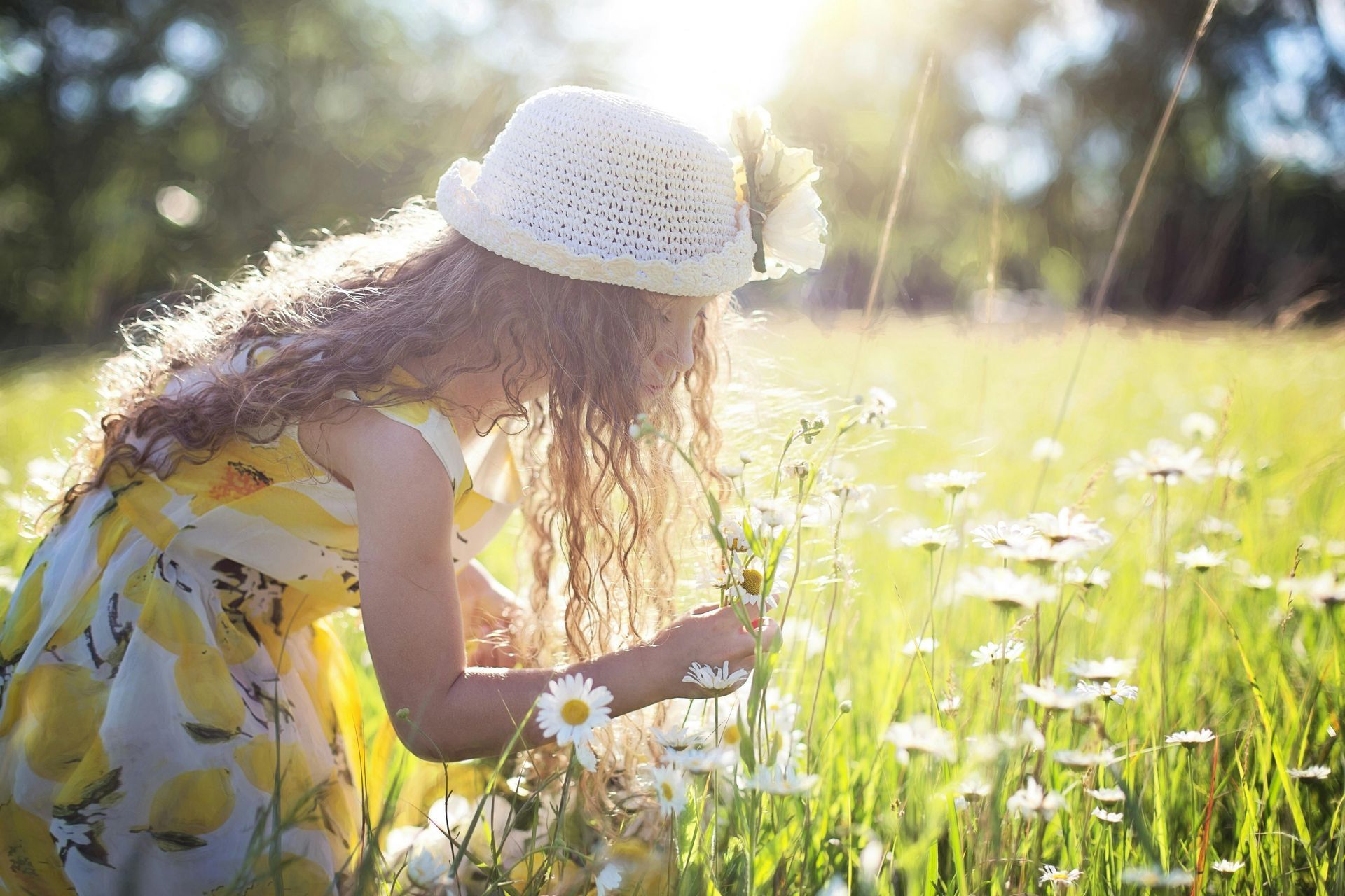 A little girl is picking daisies in a field.