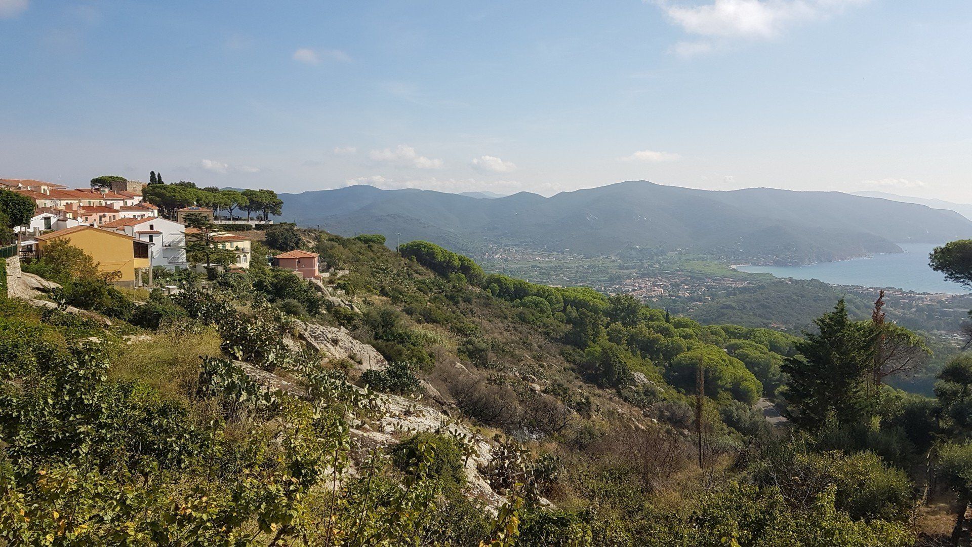 panorama