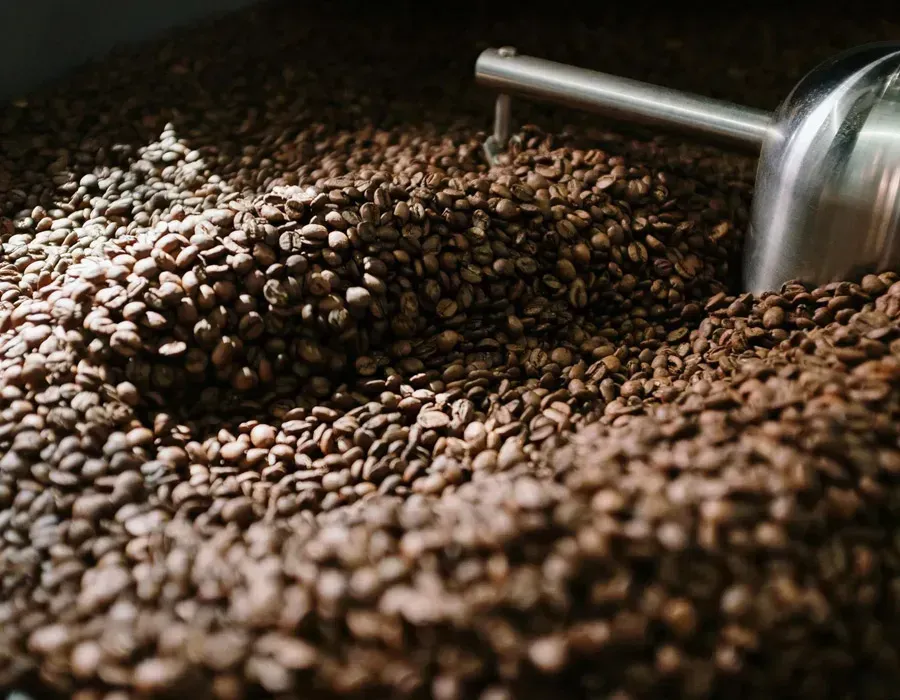 Roasted coffee beans being stirred in a roasting drum