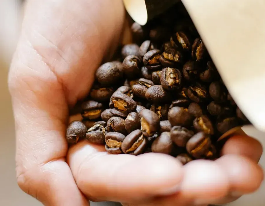 Hand holding roasted coffee beans pouring from a brown paper bag.
