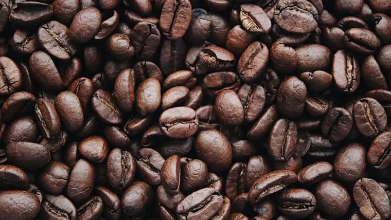 A close-up of roasted coffee beans filling the frame.