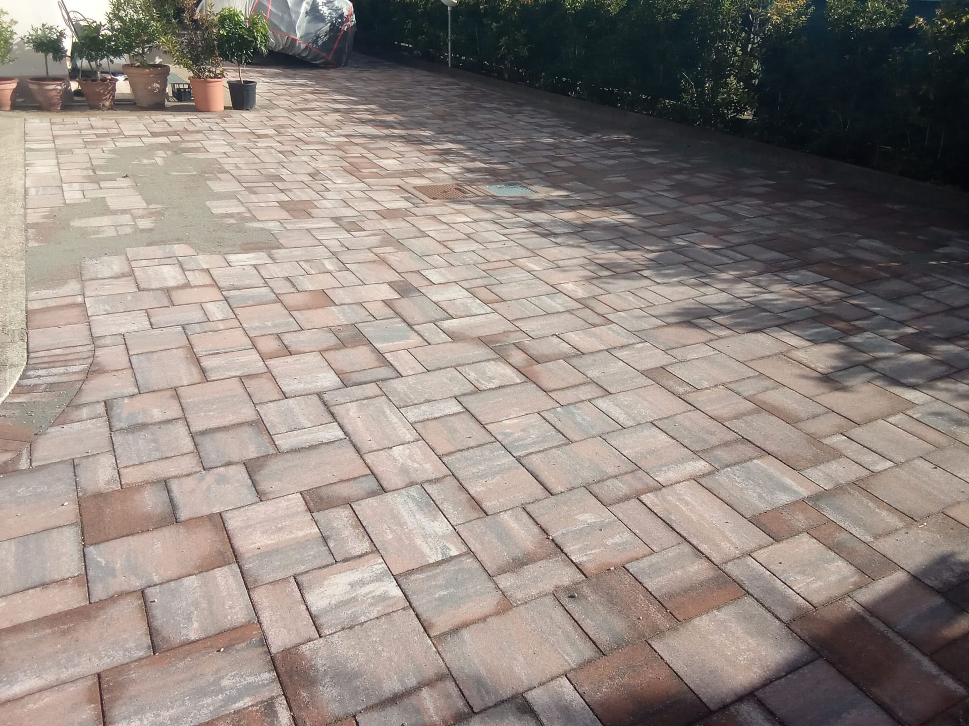 Patio soleggiato pavimentato in mattoni con piante in vaso lungo il bordo e una siepe sullo sfondo.