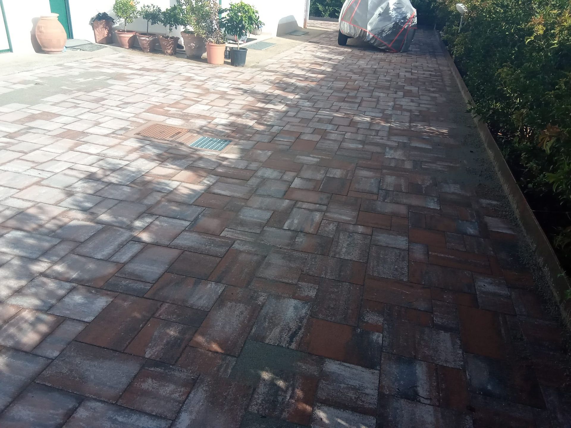 Patio in mattoni soleggiato con piante in vaso lungo i bordi e una siepe sulla destra.