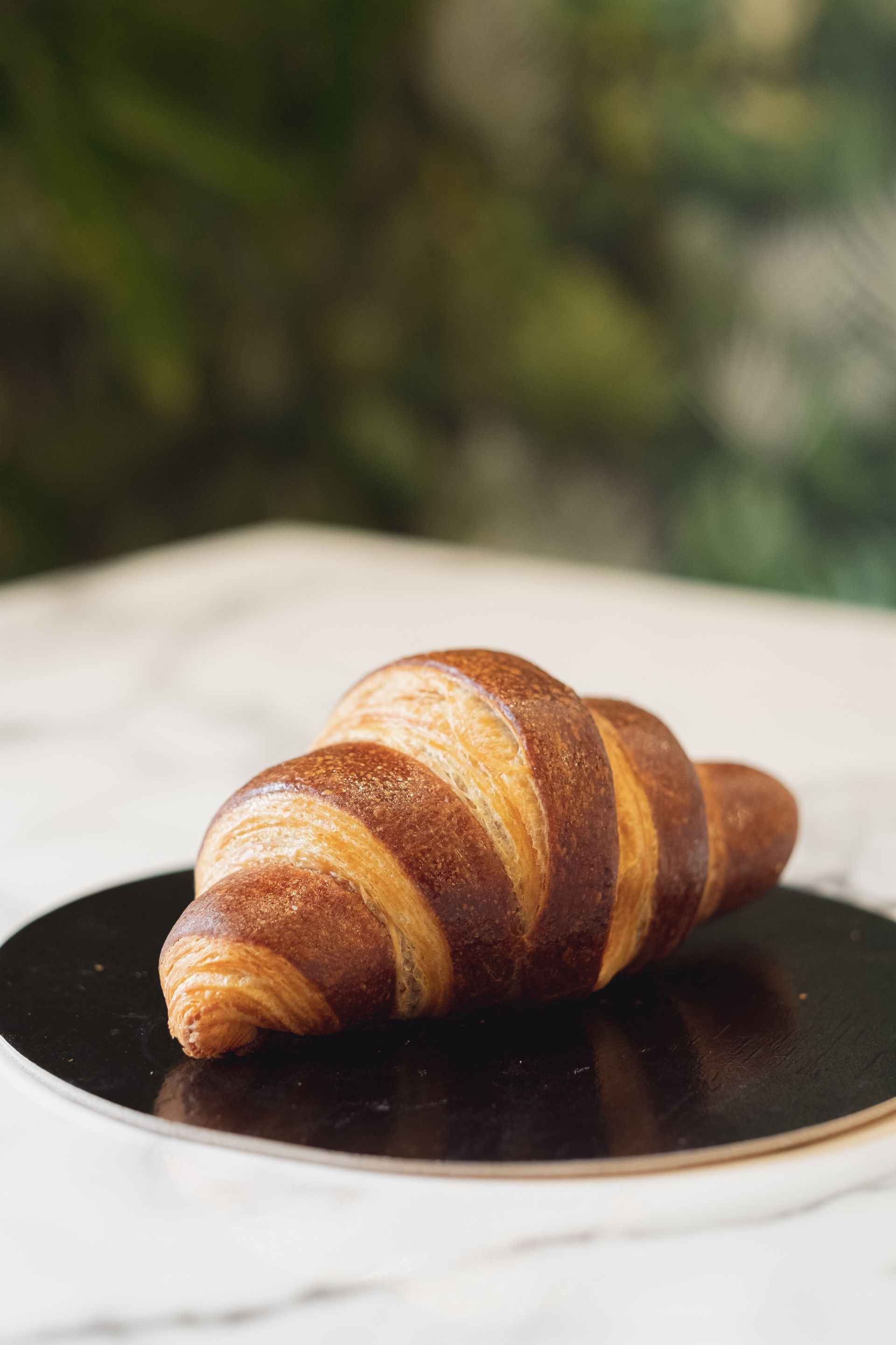 brioches