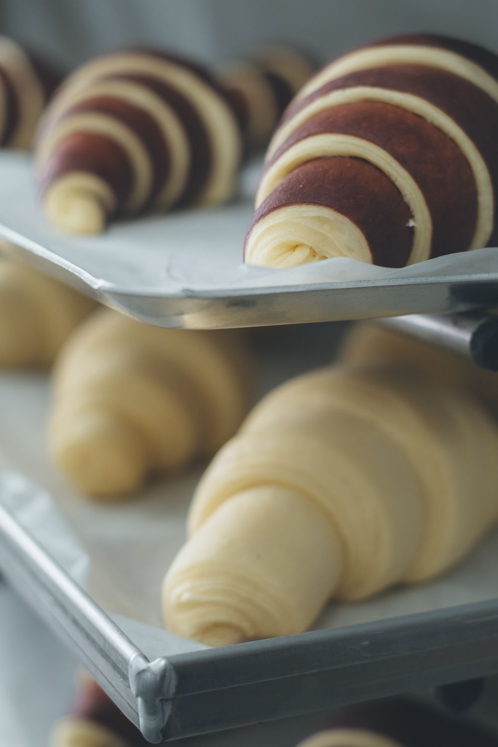 cottura brioches