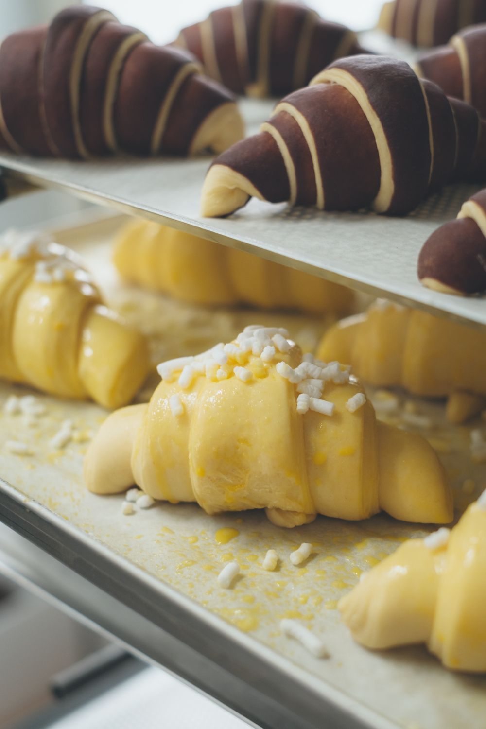 brioches con impasto al cioccolato