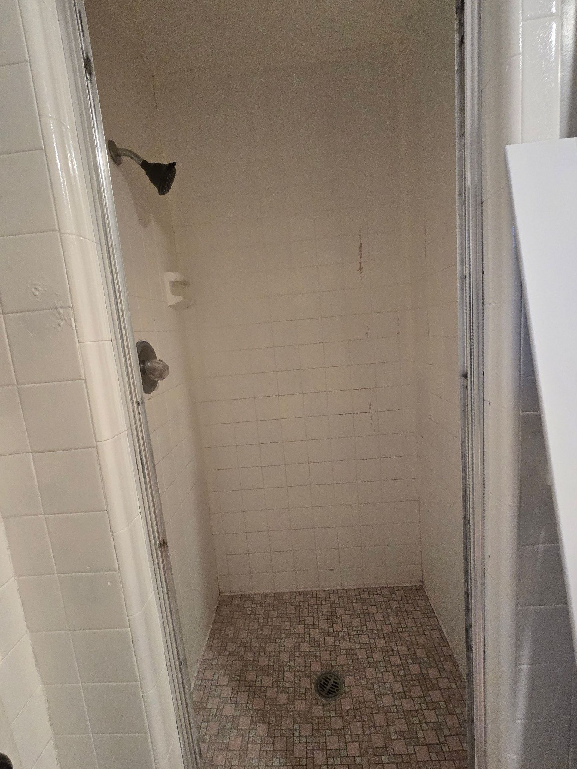 A small, tiled shower with a mosaic floor and shower head; the door is partially open.