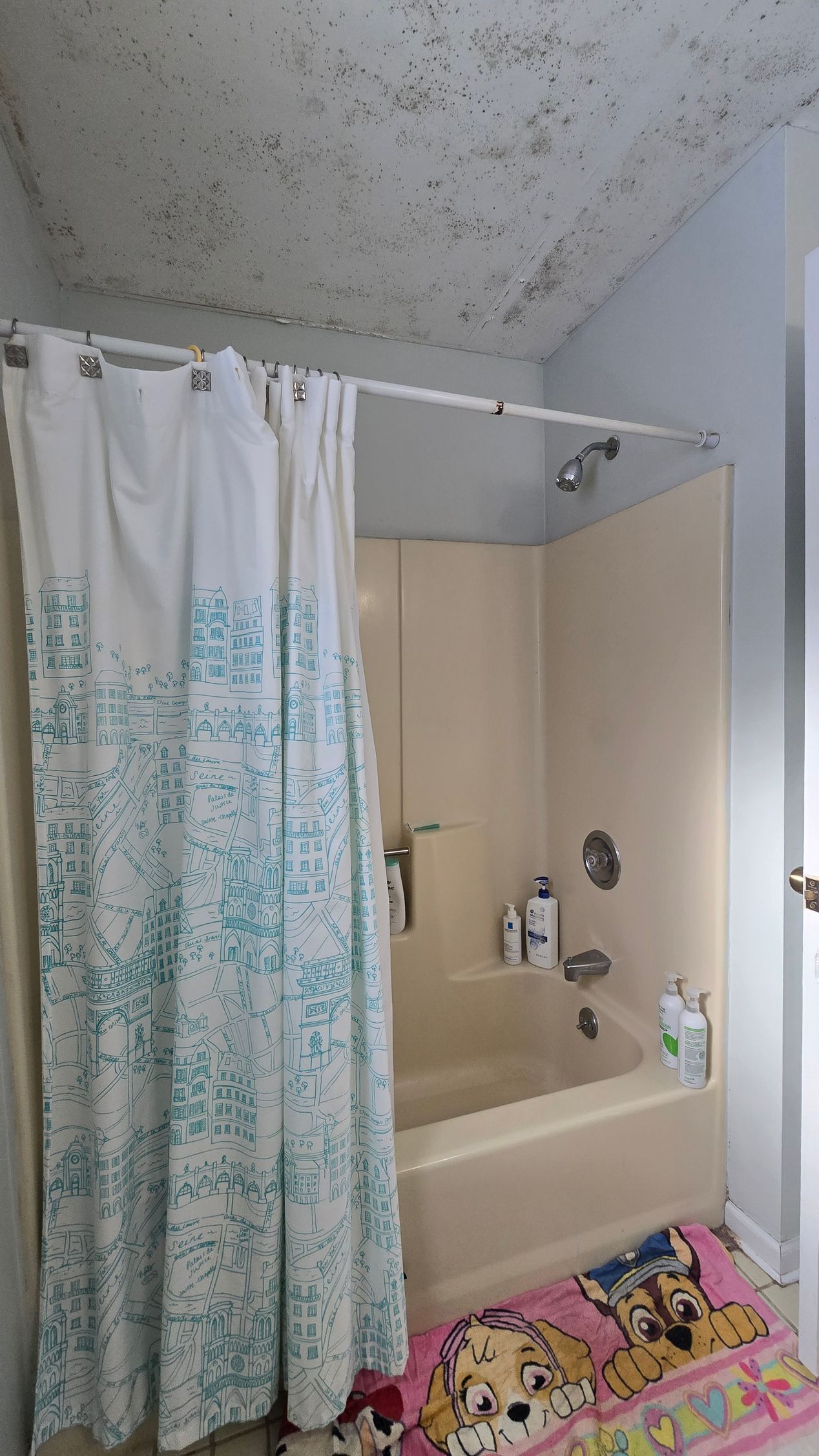 Small bathroom with shower curtain, beige tub, and colorful bath mat on the floor.