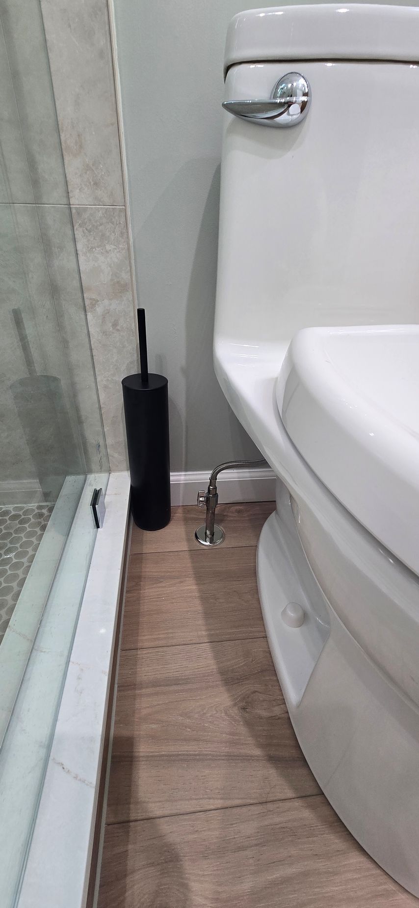 Small bathroom beside a toilet with a black plunger and brush on wood-look tile floor
