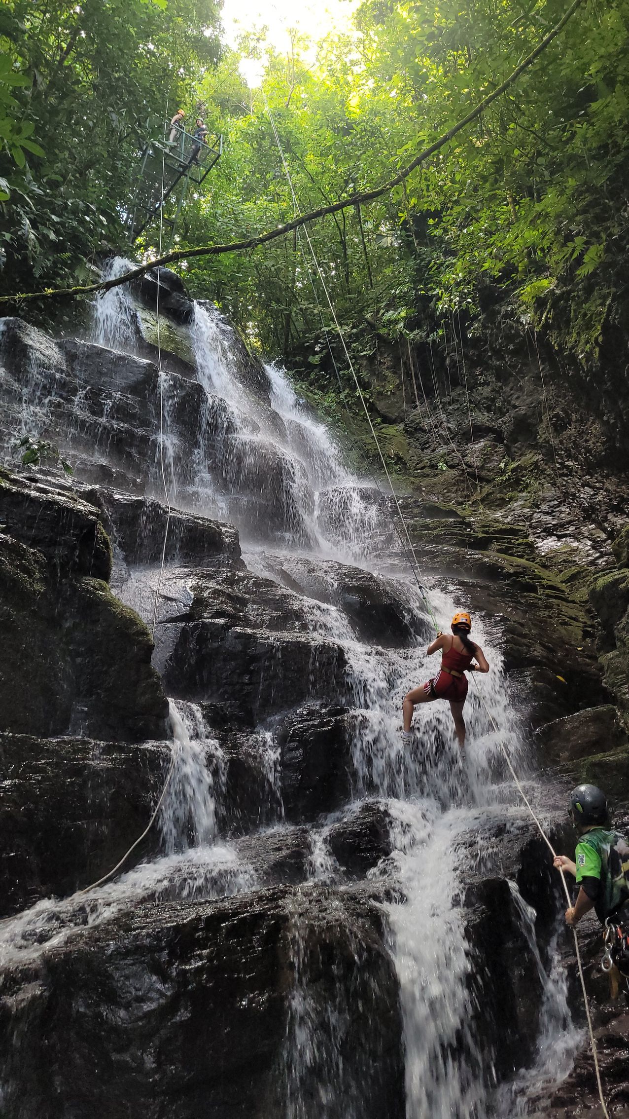 a person is jumping into a waterfall in the woods .