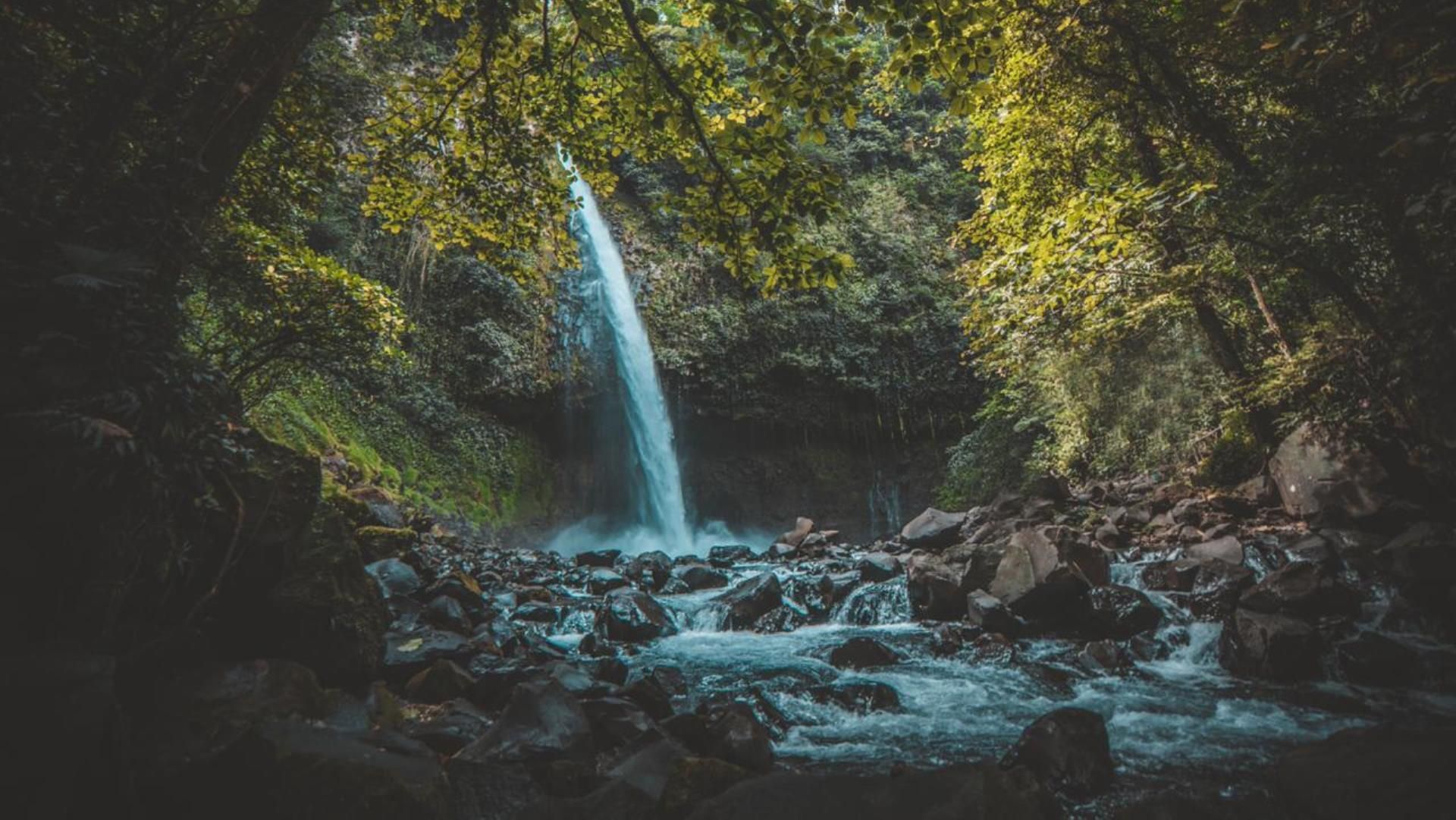 a waterfall is surrounded by trees and rocks in the middle of a forest .