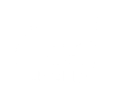 a white background with a few lines on it and an image of a Coati