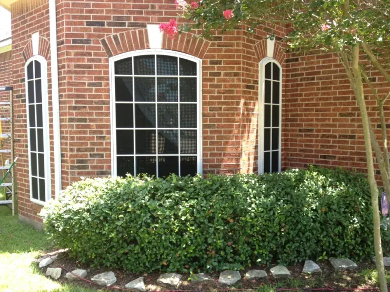 A brick house with two windows and a bush in front of it.
