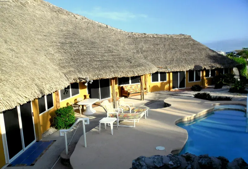 A thatched roofed house with a swimming pool in front of it