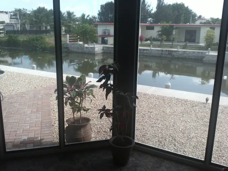 A potted plant sits in front of a sliding glass door overlooking a body of water