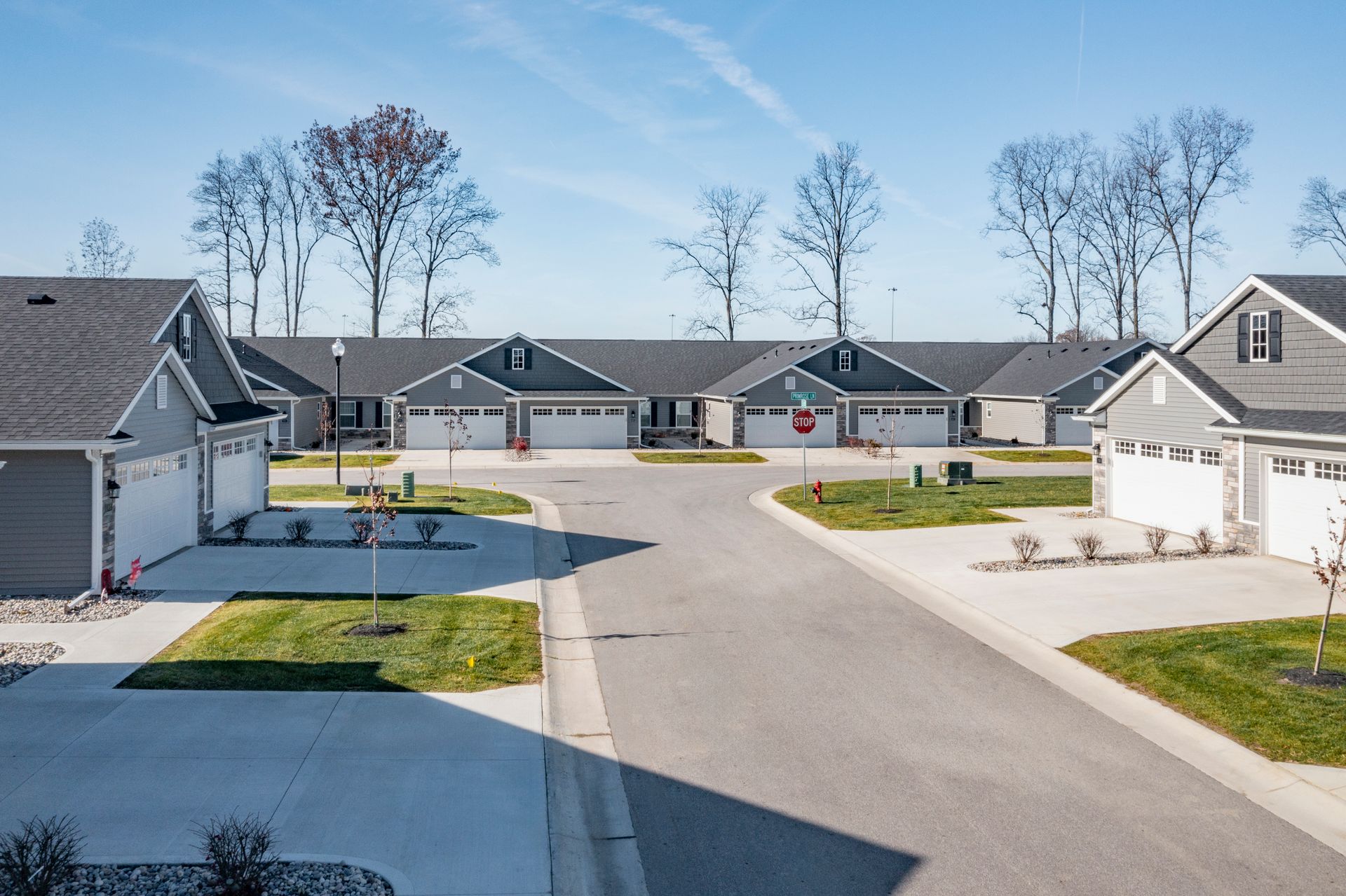 Quiet suburban cul-de-sac with modern houses, driveways, and bare trees under a clear blue sky