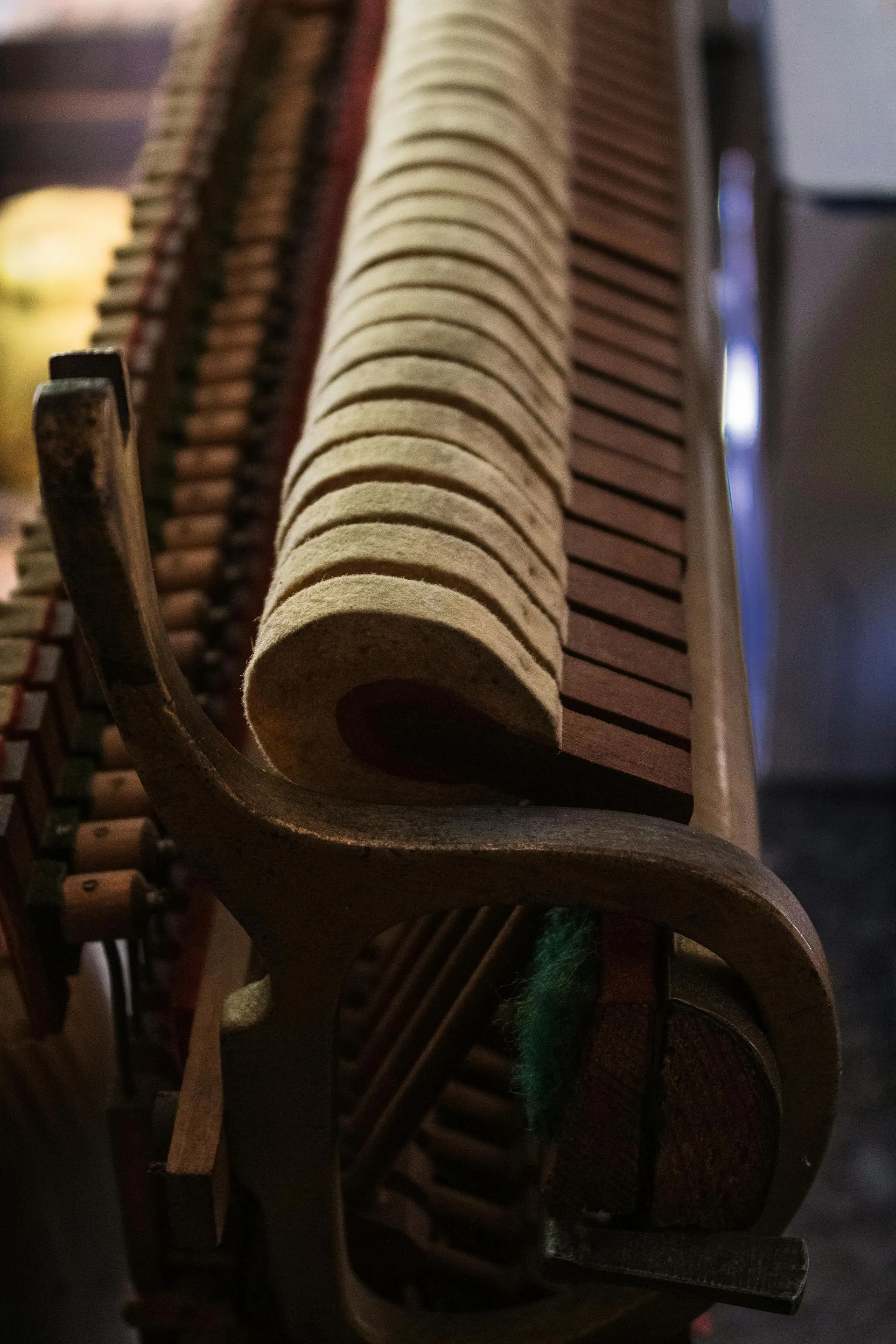 Close-up of a piano's inner workings; hammers, felt, wooden keys visible.