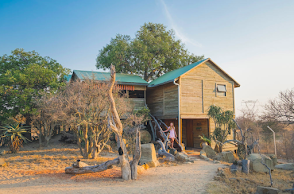 A wooden house with a green roof is surrounded by trees and rocks.