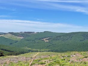 A view of a lush green valley with mountains in the background on a sunny day.